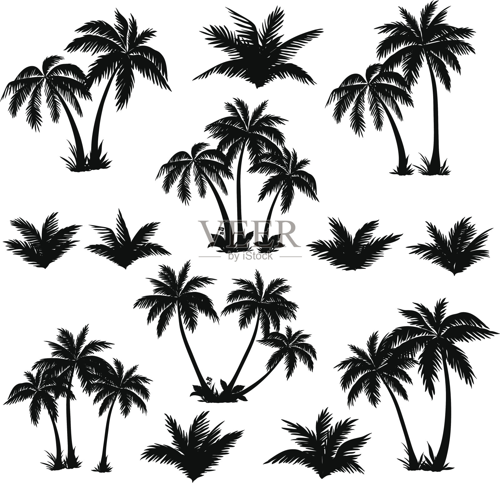 热带棕榈树的剪影设计元素图片
