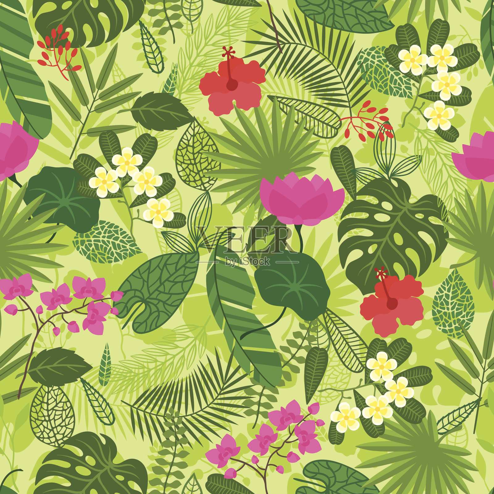 无缝模式与热带植物，叶和花。插画图片素材