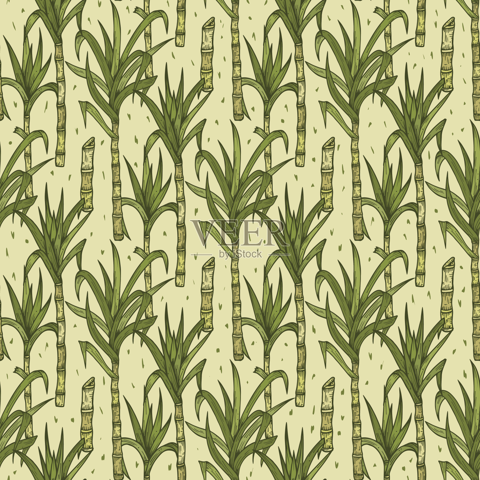 手绘甘蔗植物矢量无缝模式。甘蔗茎与无尽的叶子背景插画图片素材
