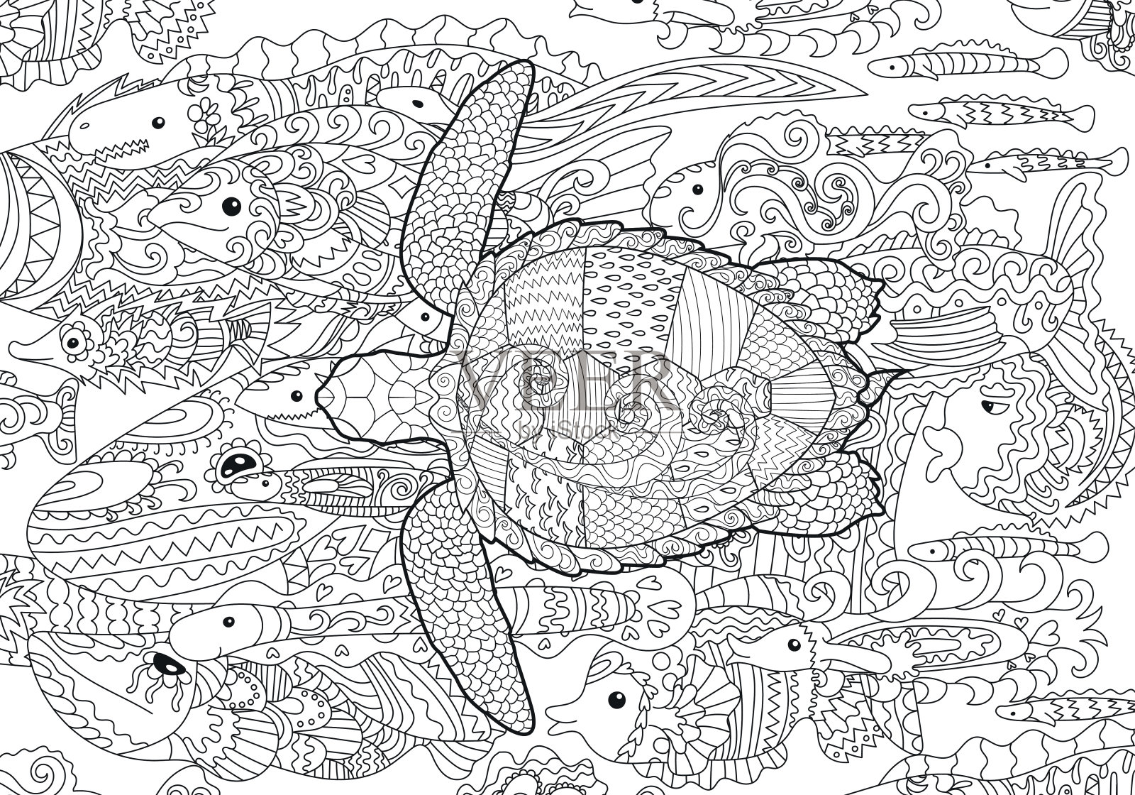 手绘游泳乌龟与高细节插画图片素材