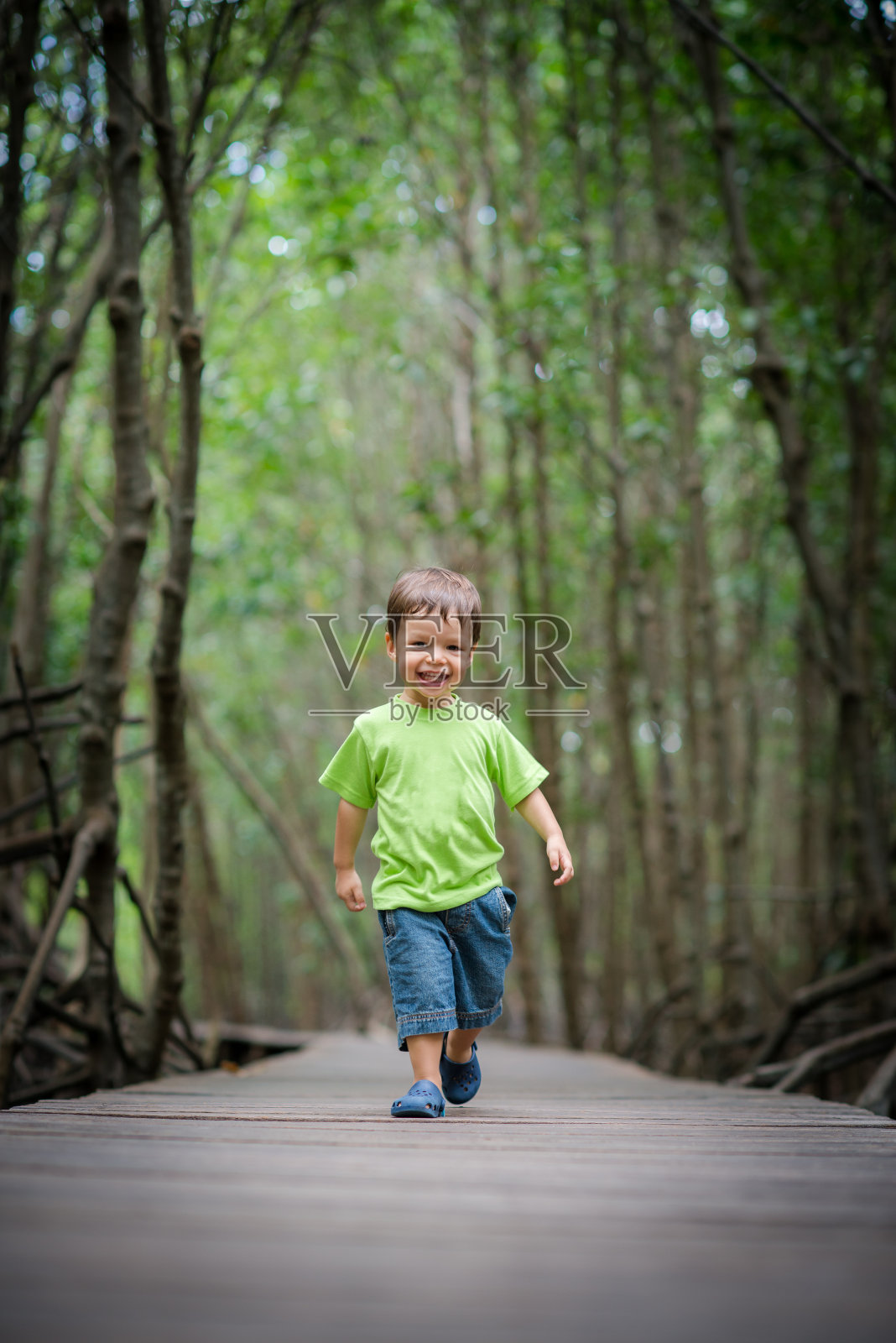 两岁的男孩走在自然保护木板路上照片摄影图片