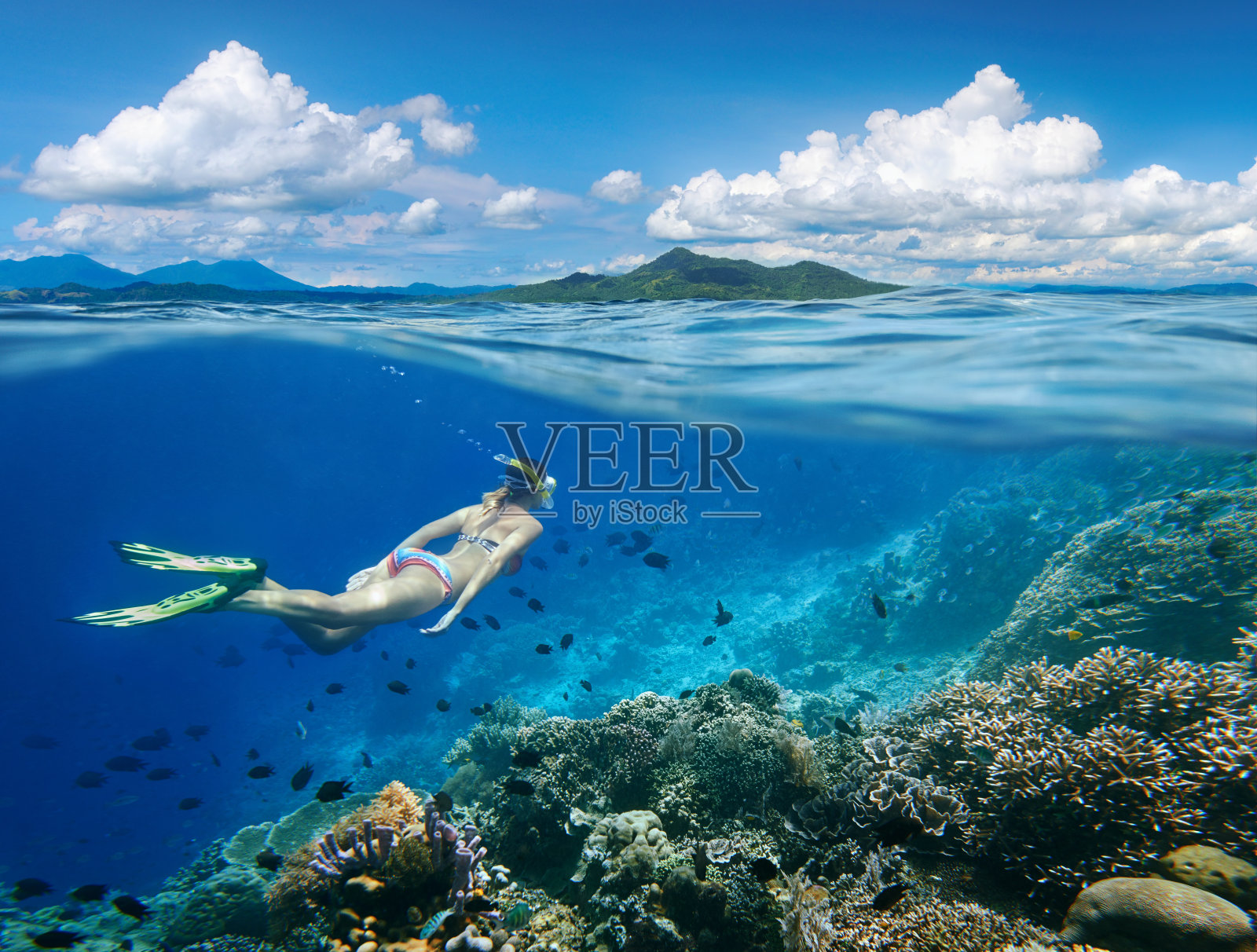 女人在珊瑚礁周围游泳，周围有许多鱼。照片摄影图片