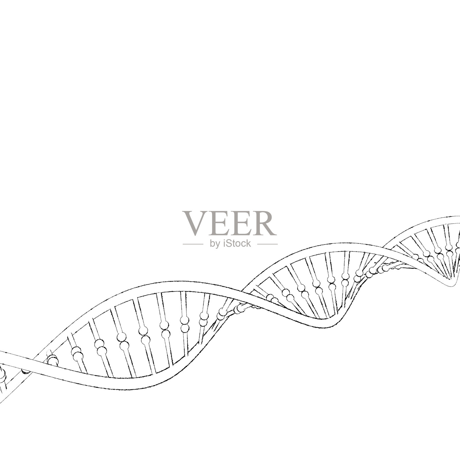 DNA链。孤立在白色背景上。示意图说明。插画图片素材