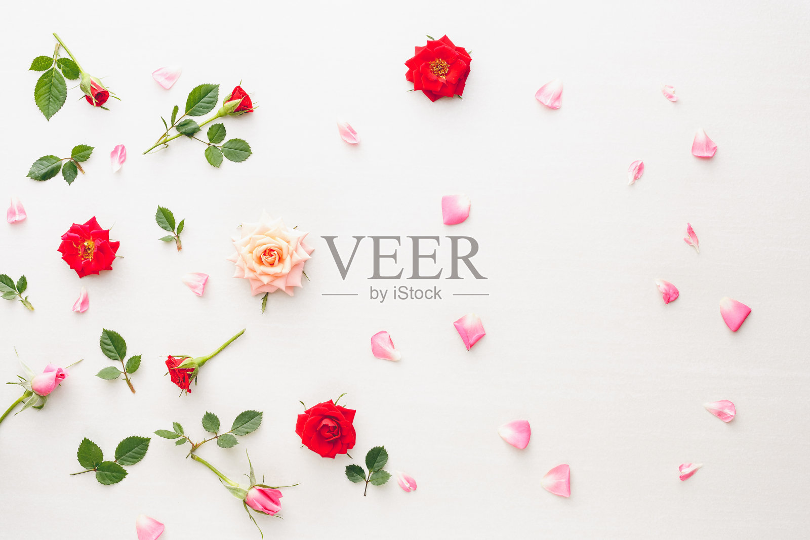 花和花瓣的背景是粉红色和红色的玫瑰照片摄影图片