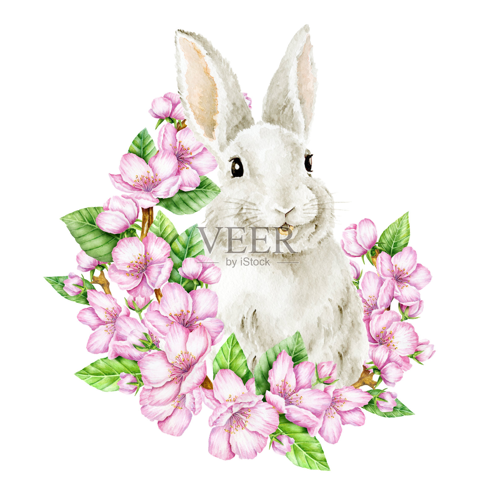 带樱花的复活节兔子。水彩插图设计元素图片