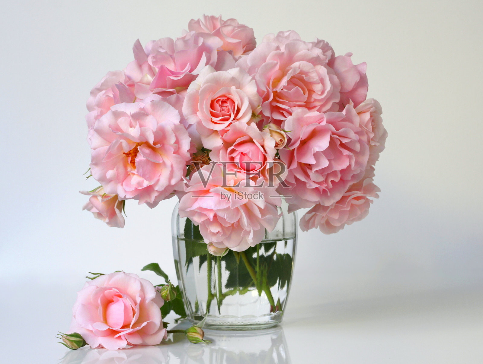 花瓶里的一束粉色玫瑰。浪漫的花装饰。照片摄影图片