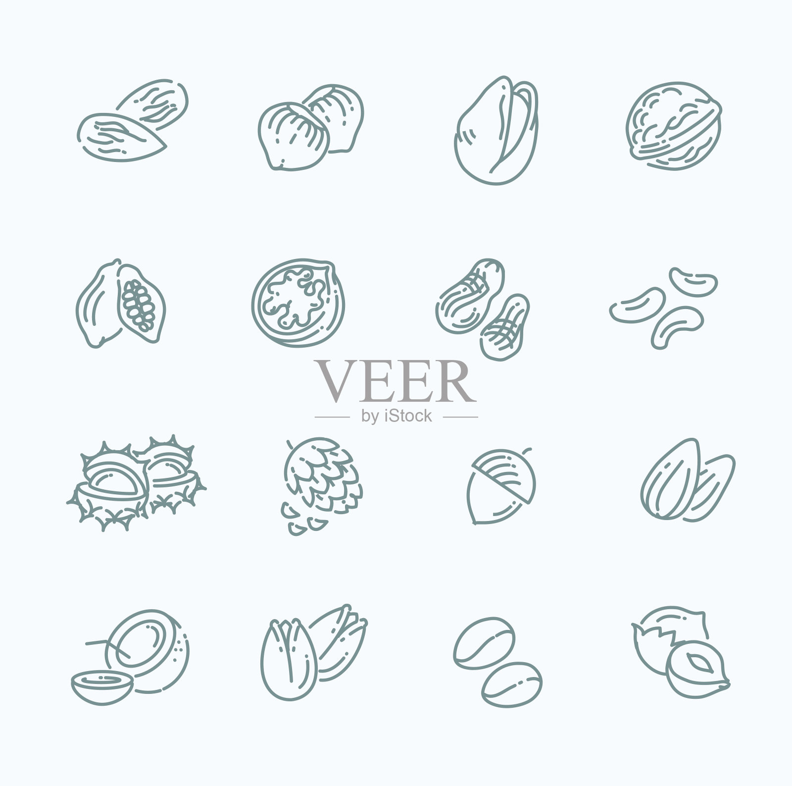 网页图标收集-坚果，豆类和种子图标素材