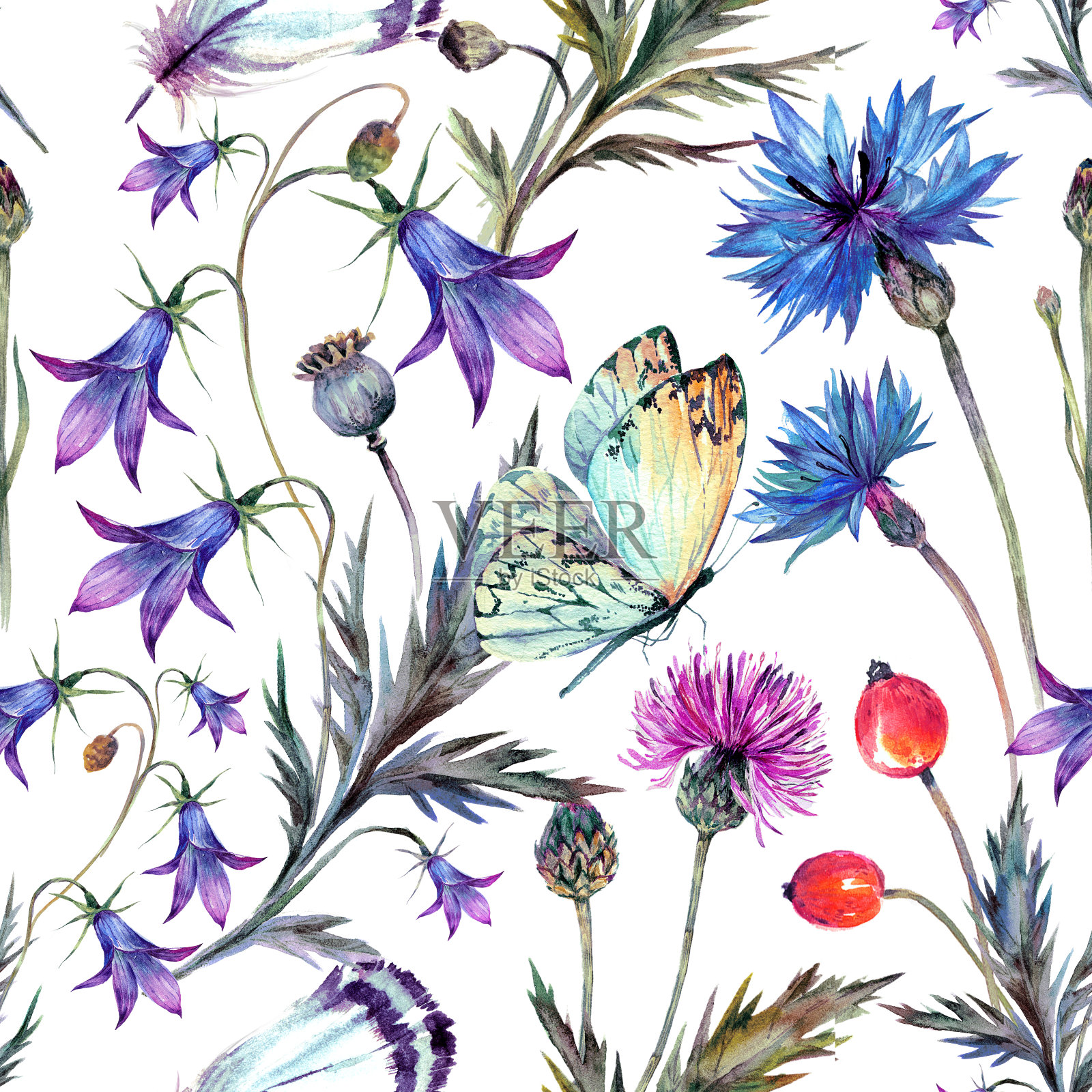 夏季野花的复古水彩图案。插画图片素材