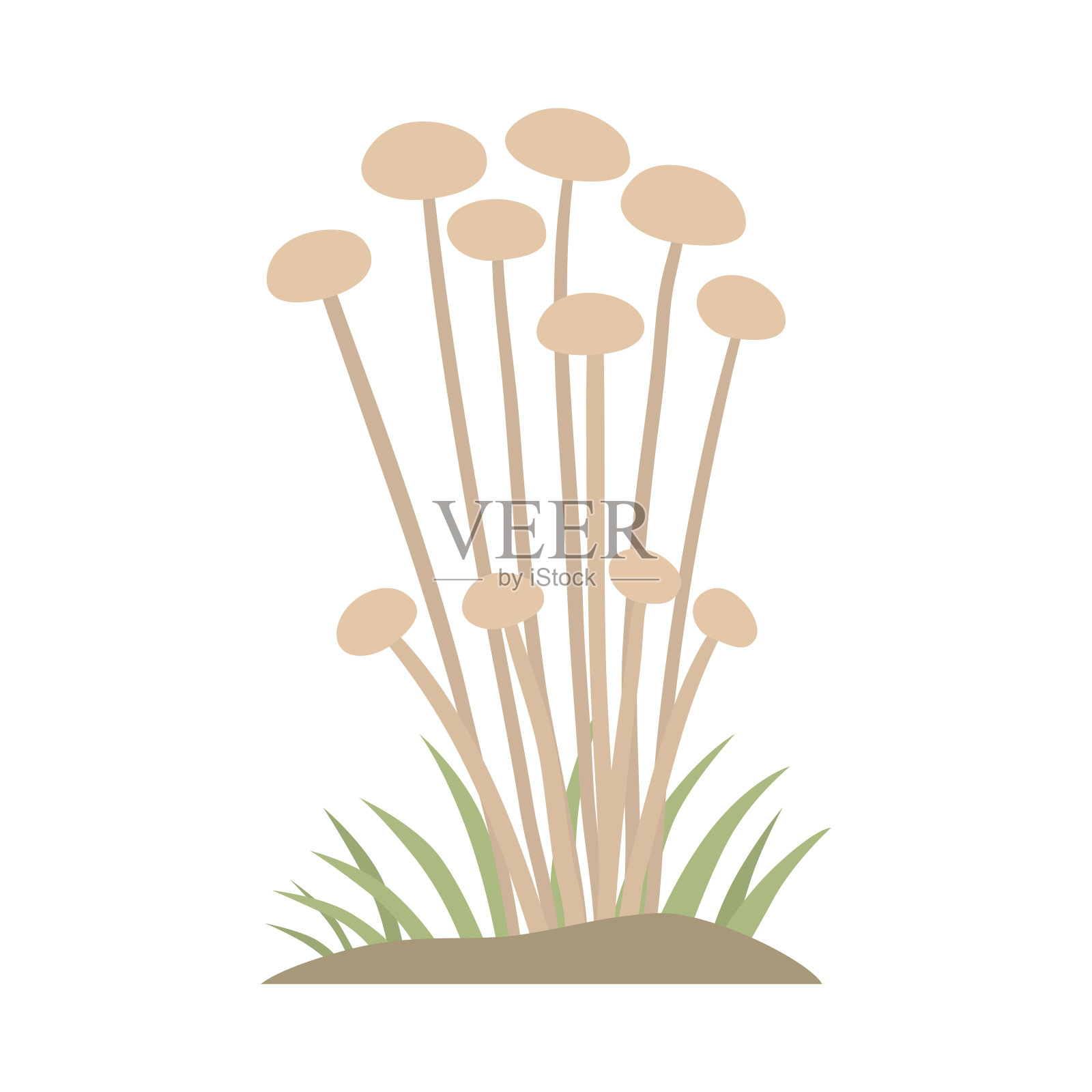 有毒蘑菇自然食品素食健康秋季食用和真菌有机蔬菜原料矢量插图插画图片素材