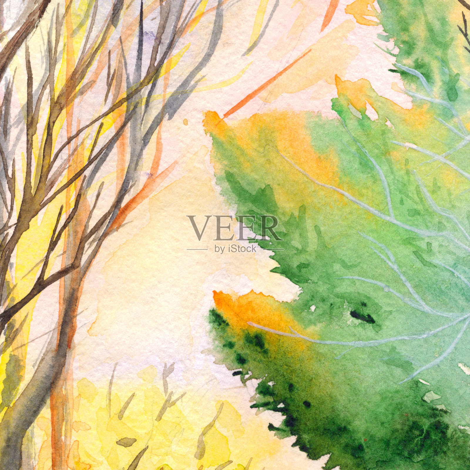 水彩秋色自然树公园木背景纹理插画图片素材