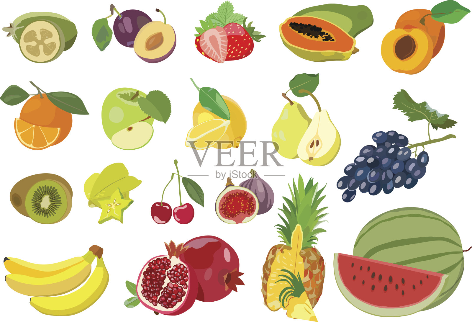 一套彩色多汁的水果在白色的背景。矢量插图。设计元素图片