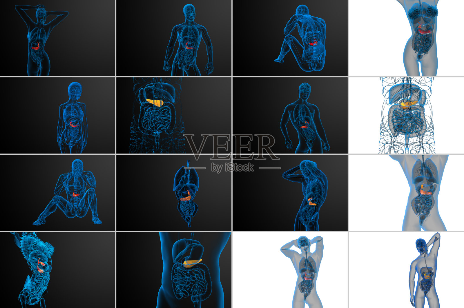 胆囊和胰脏的3d渲染医学插图照片摄影图片