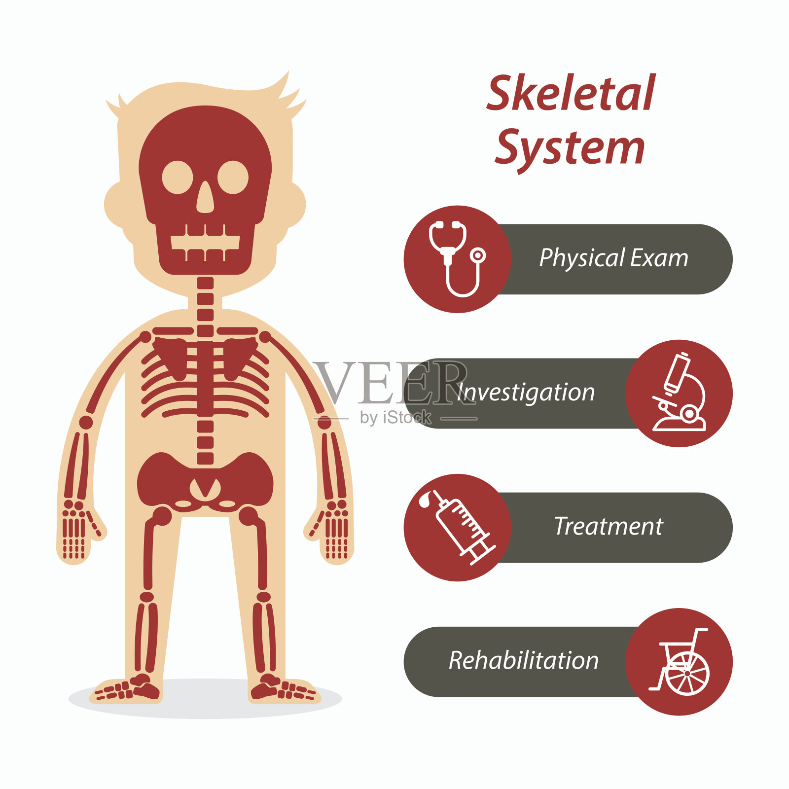 骨骼系统和医疗线图标插画图片素材