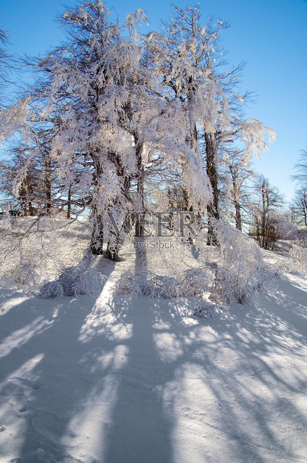 山区的冬天照片摄影图片