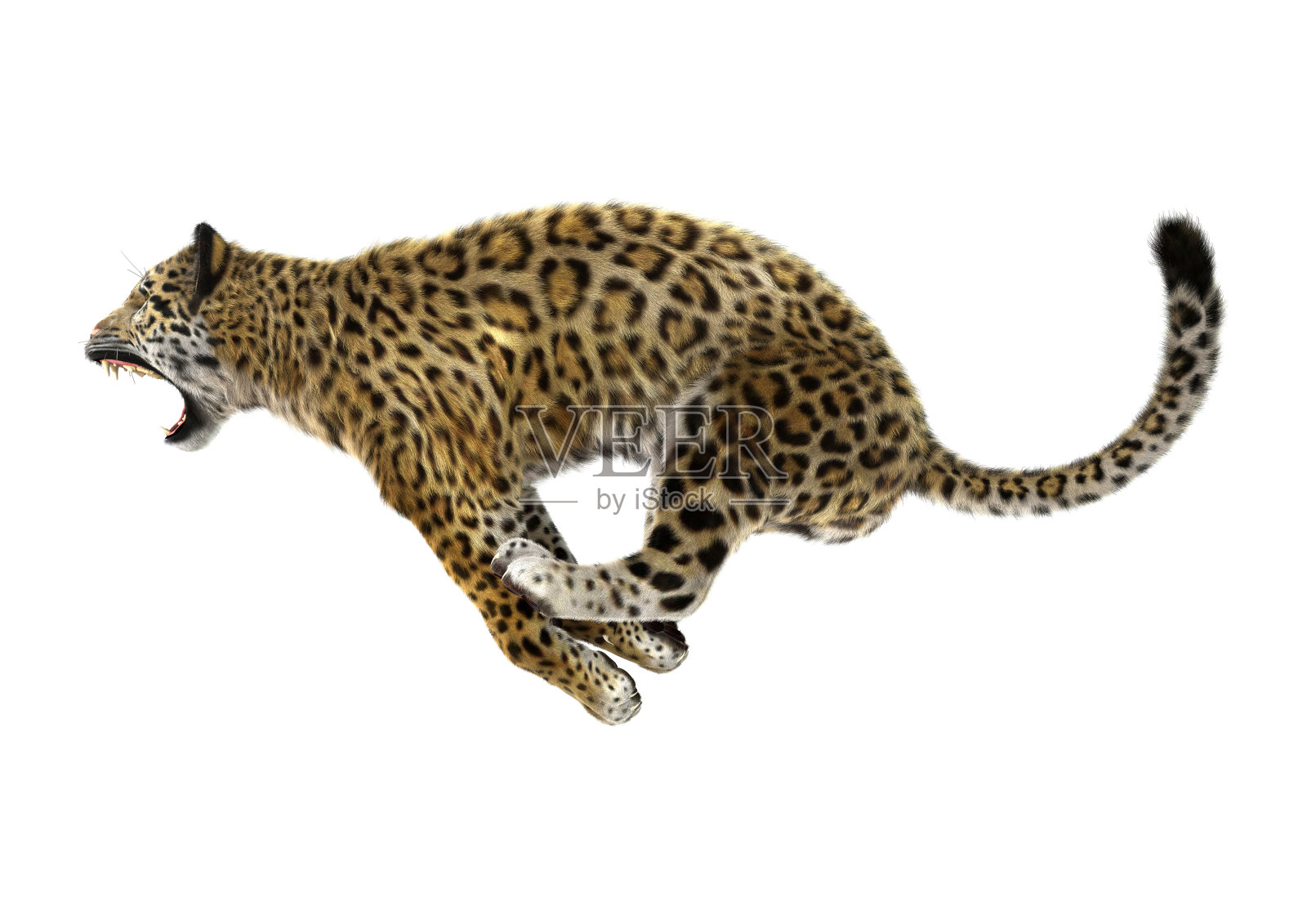 3D渲染大猫美洲豹照片摄影图片