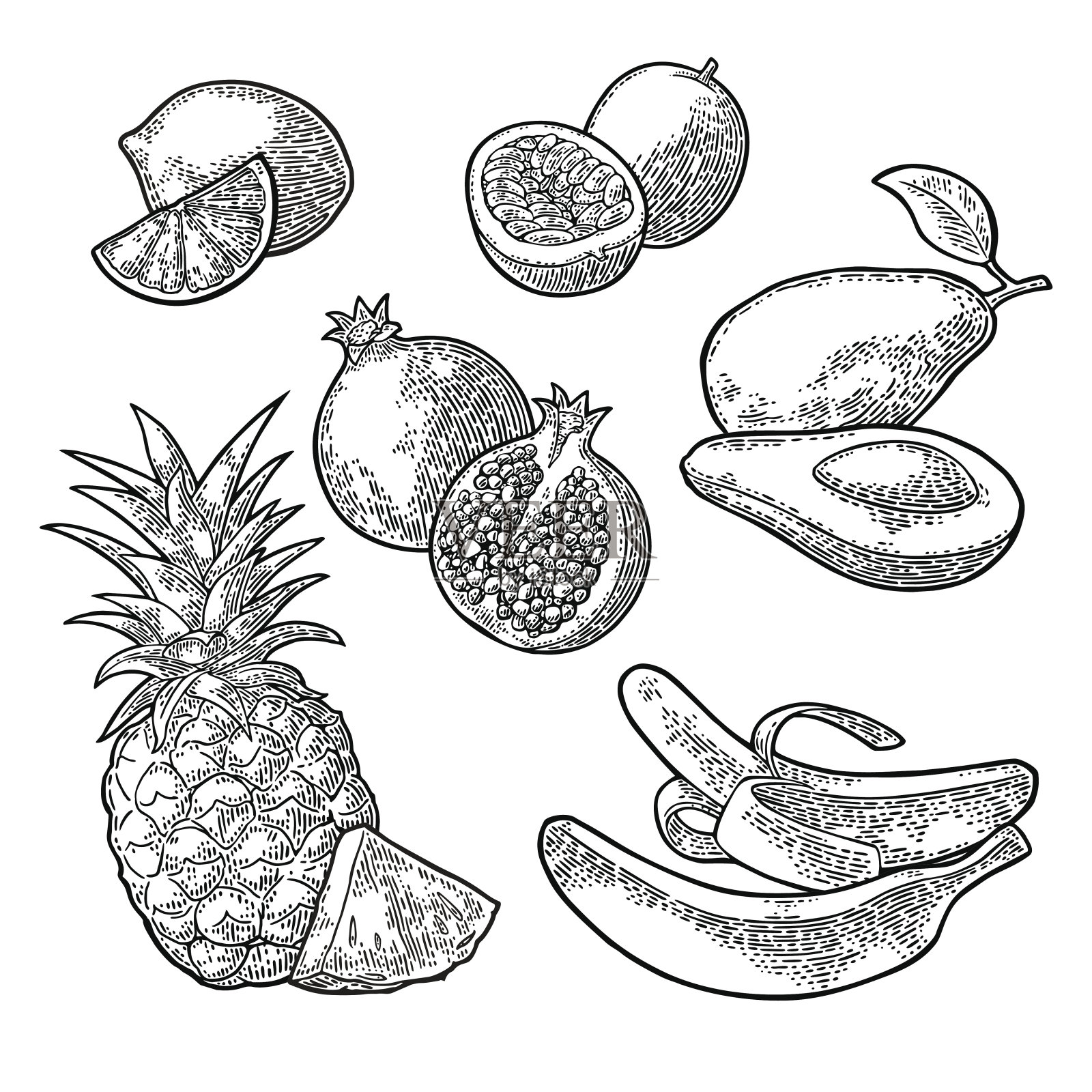 热带水果。菠萝，酸橙，香蕉，石榴，樱桃，鳄梨。插画图片素材