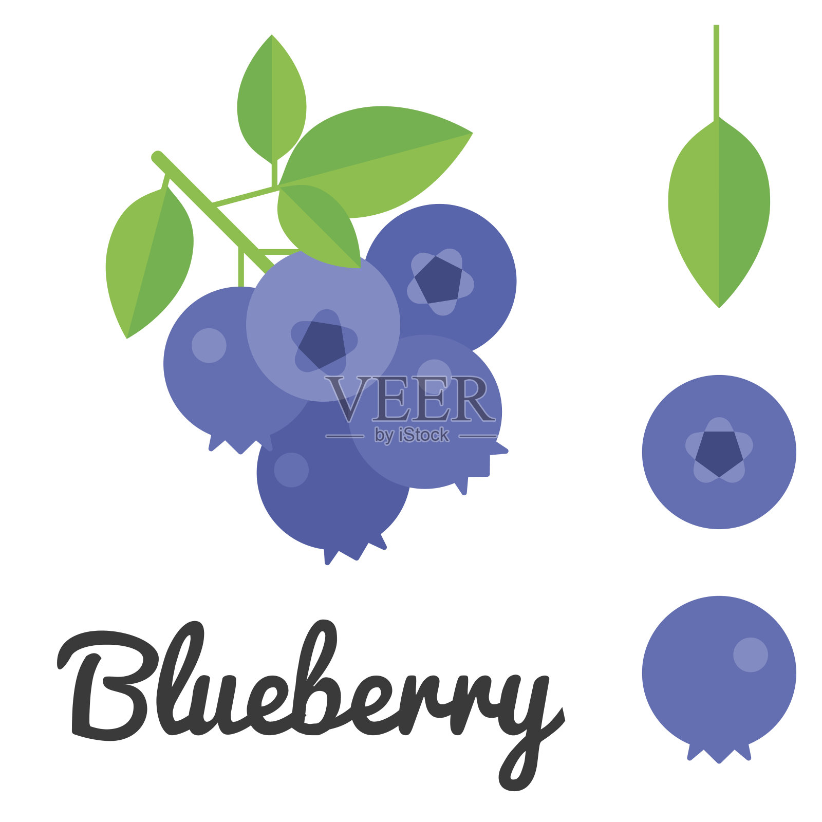 向量蓝莓设计元素图片