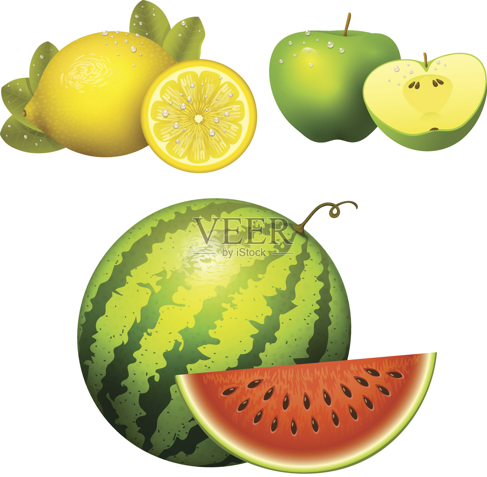 成熟的条纹西瓜现实多汁的苹果矢量插图切片绿色孤立成熟的甜瓜设计元素图片