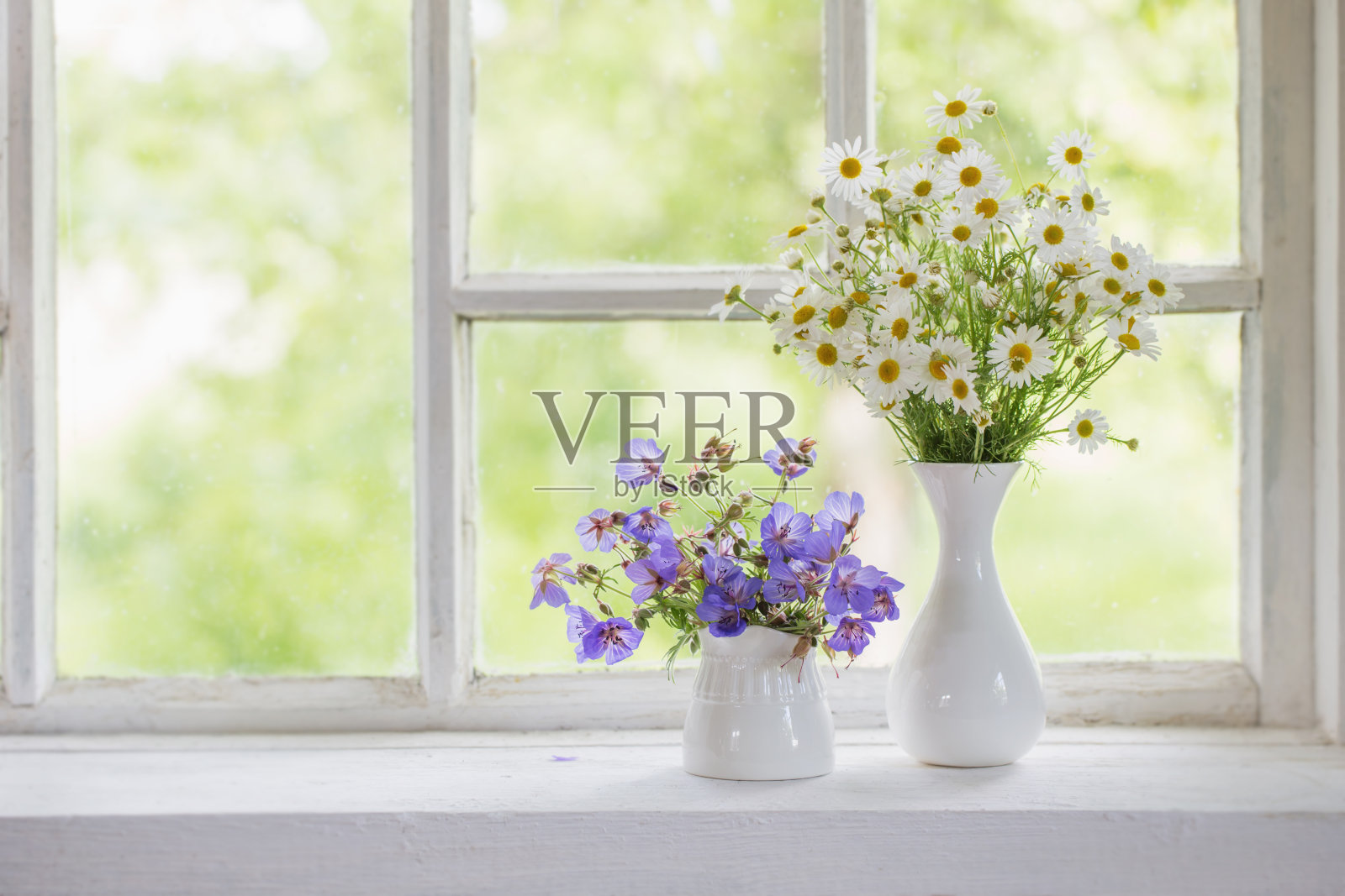 窗台上花瓶里的花照片摄影图片