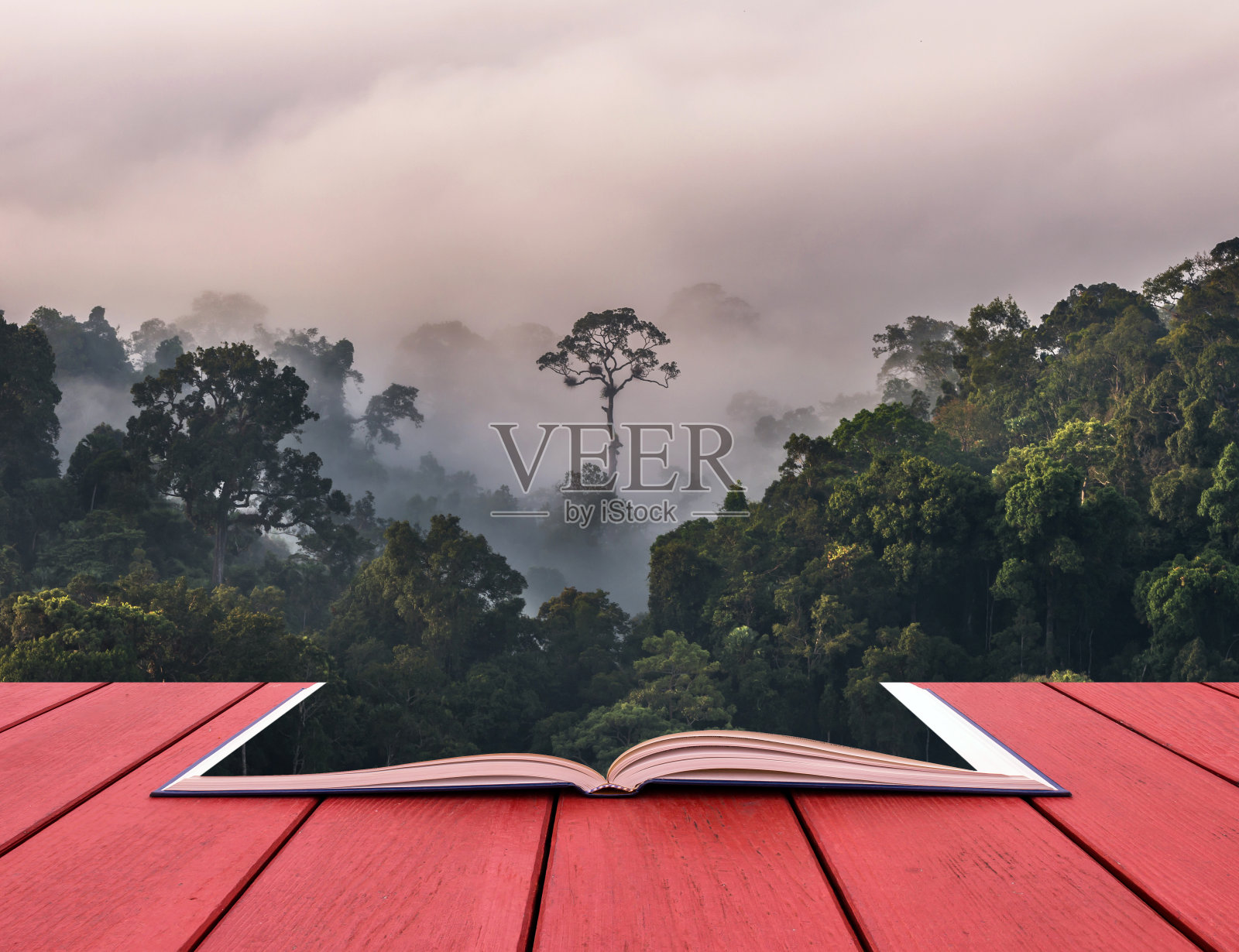 泰国keng Krachan国家公园panothung观点上的云雾美景概念书图像照片摄影图片