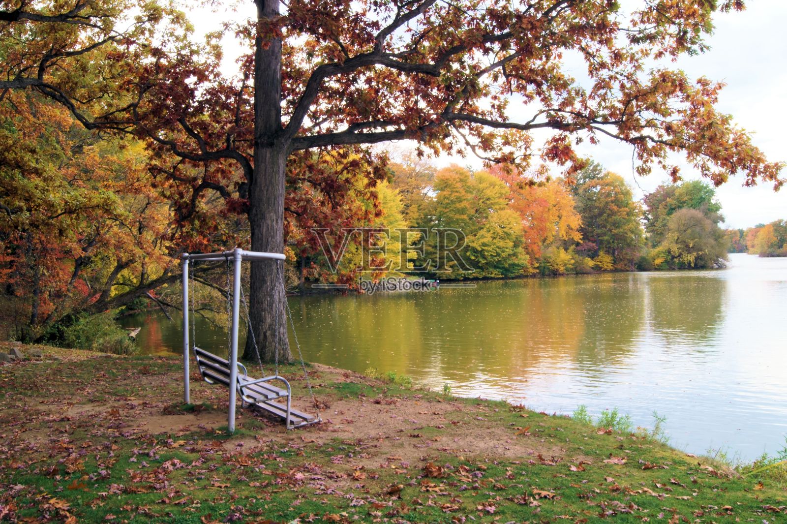 湖边的秋千照片摄影图片