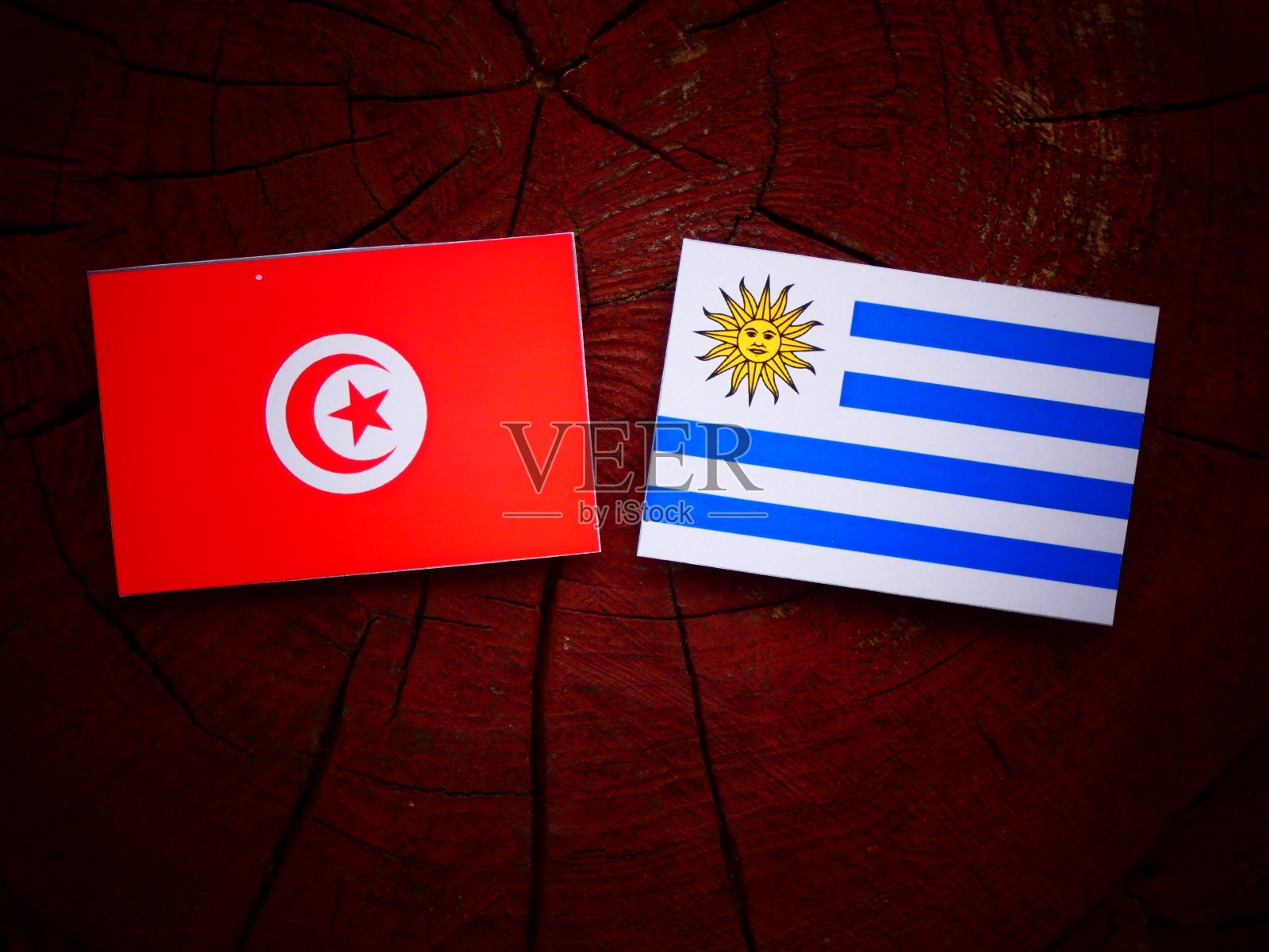 孤立的树桩上挂着突尼斯国旗和乌拉圭国旗照片摄影图片