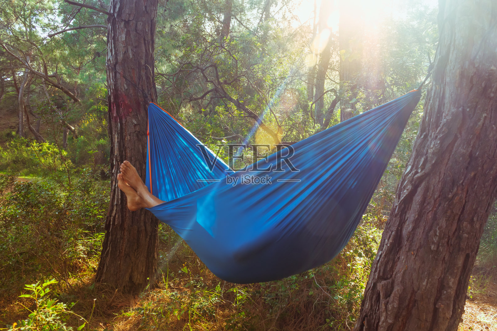 在绿色的森林里，一个年轻人在蓝色的吊床里休息照片摄影图片