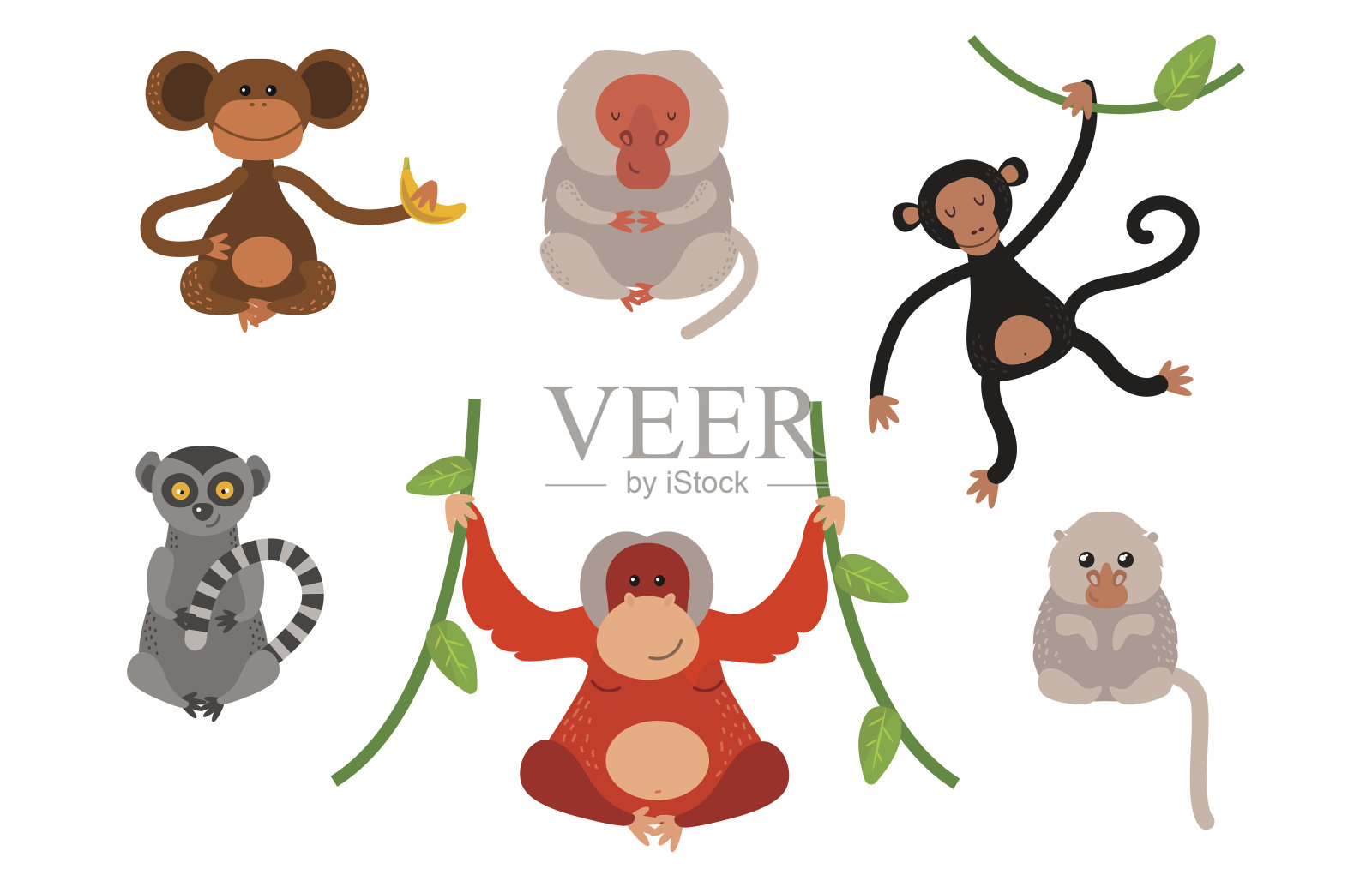 不同类型的猴子珍稀动物载体集插画图片素材