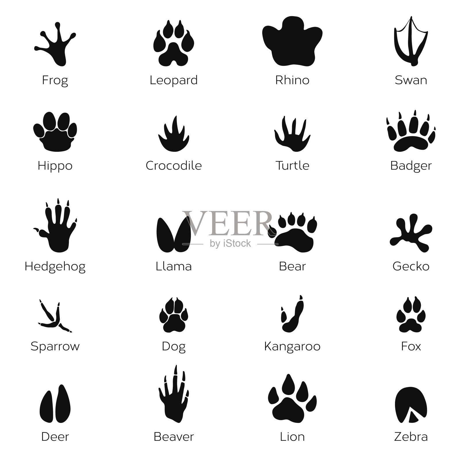 黑色的脚印，动物的形状。大象，豹，爬行动物和老虎。不同的步骤插画图片素材