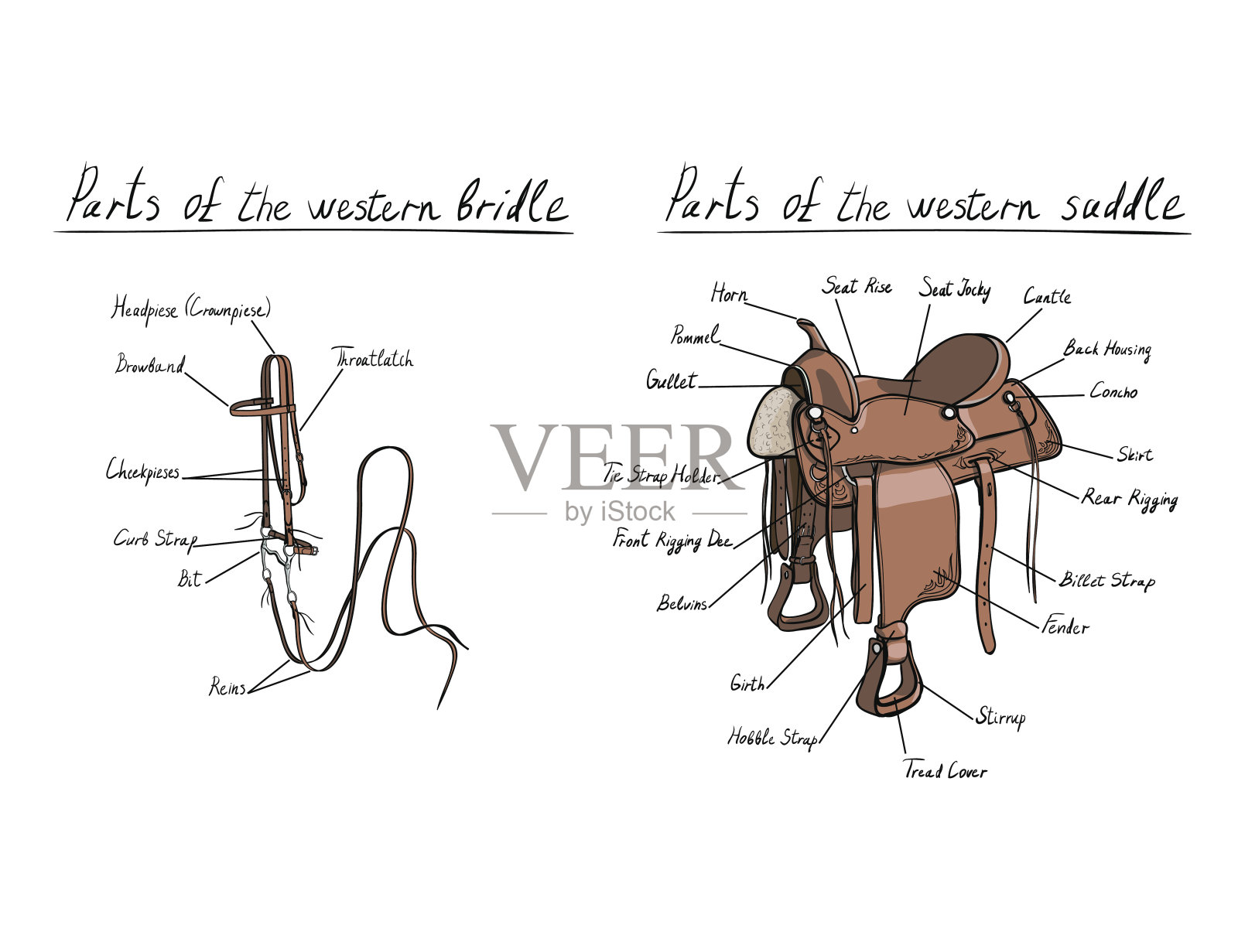 西部马鞍和缰绳部分有文字描述。马的策略。插画图片素材