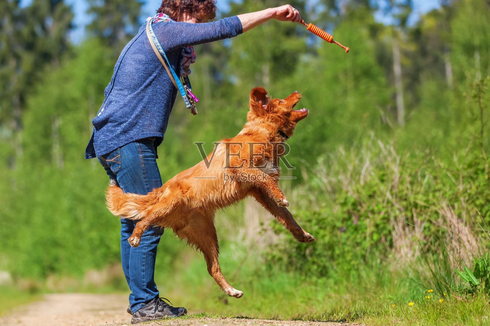 一个女人在森林小路上和一只小狗玩耍照片摄影图片