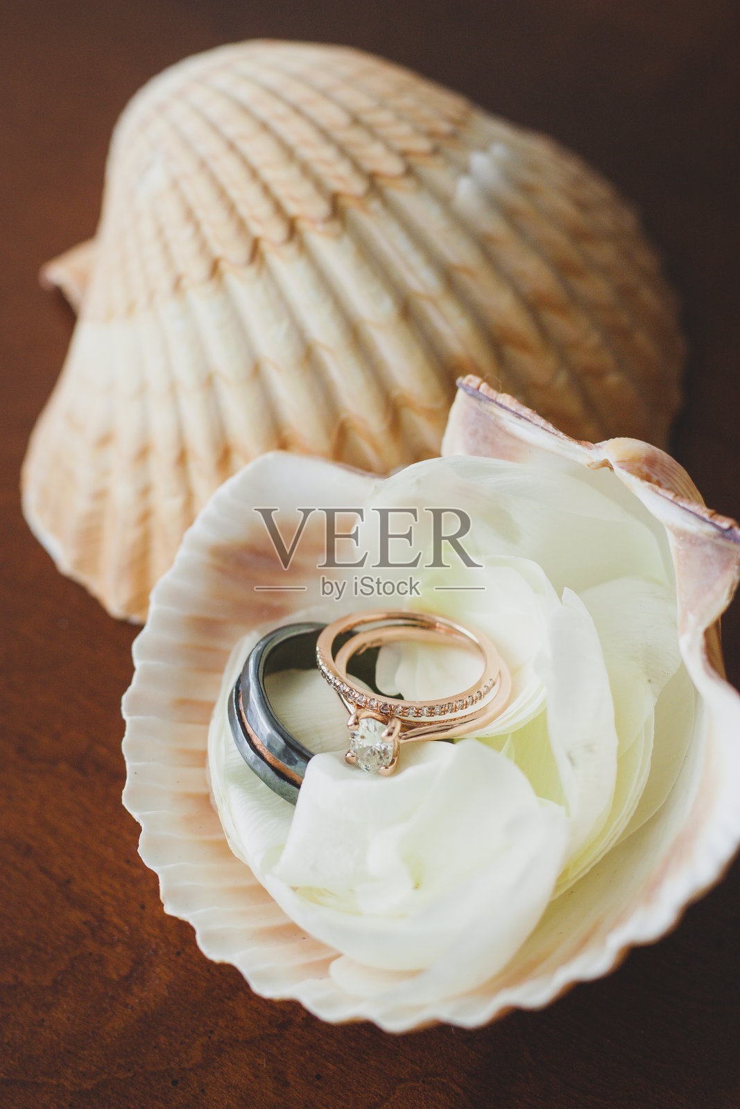 贝壳里面的玫瑰金结婚戒指照片摄影图片