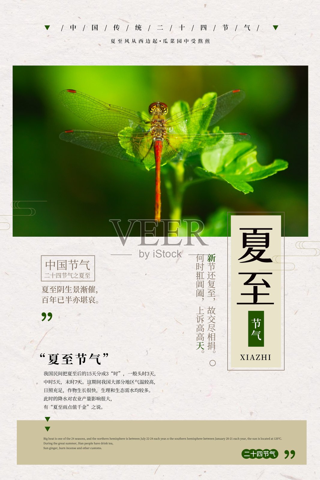 简约中国风夏至24节气传统节日海报设计模板素材