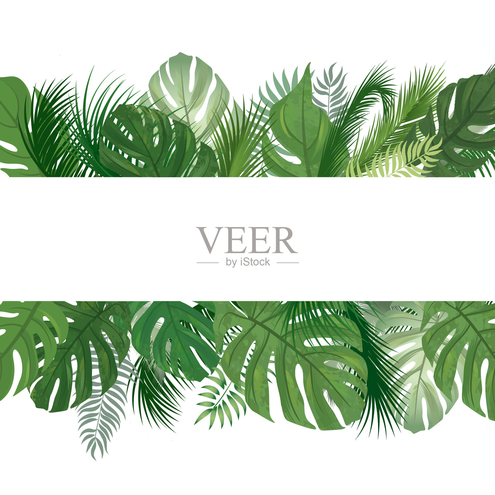 花卉图案。热带棕榈树的叶子背景。插画图片素材