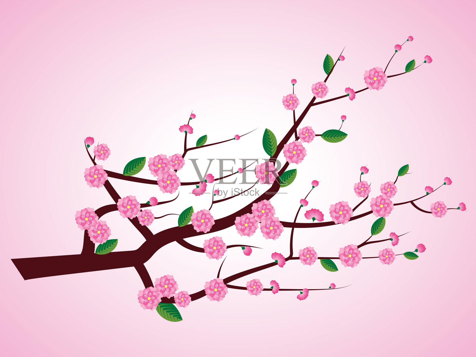 粉红色的花在树枝上-向量设计元素图片