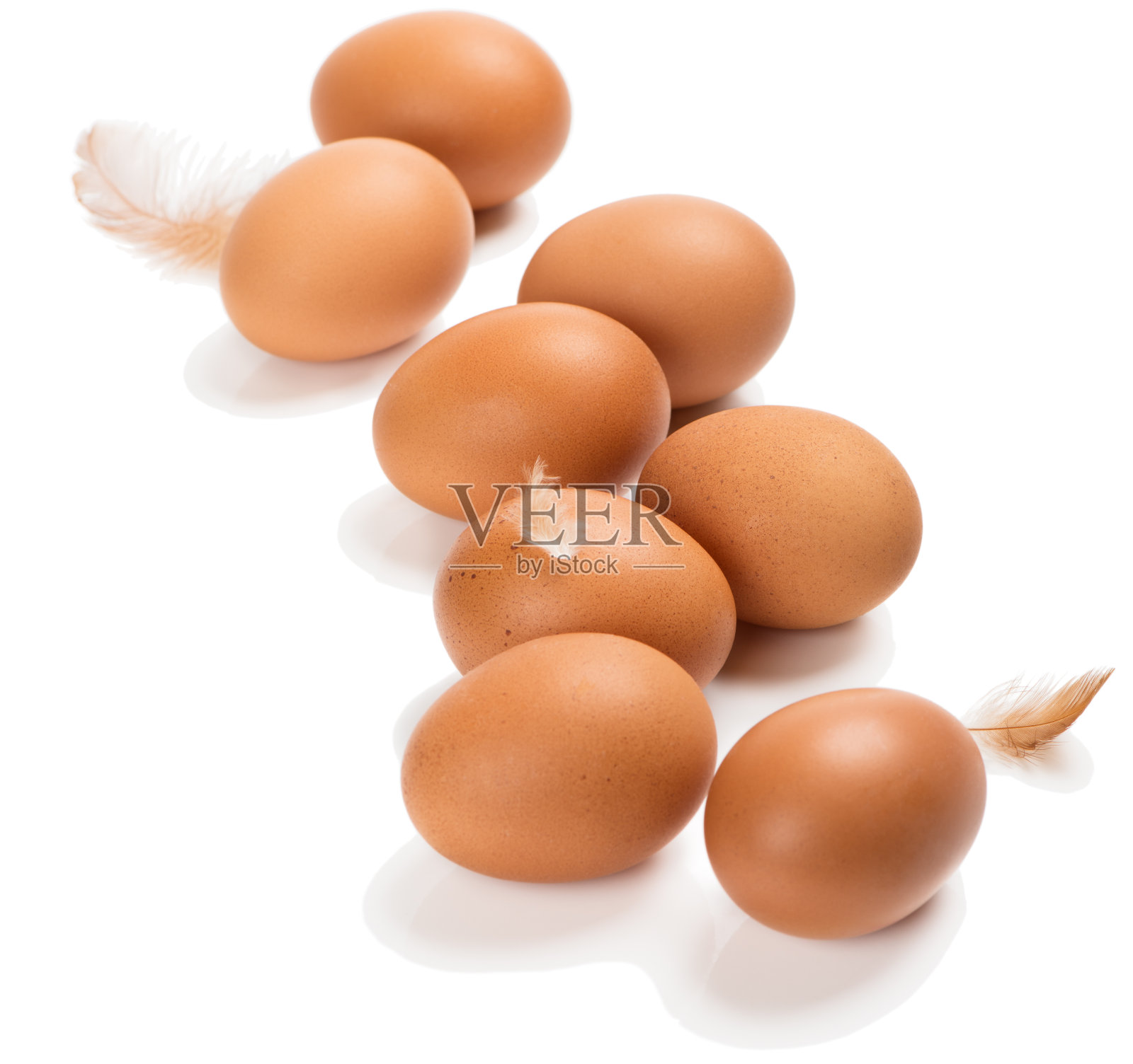 Eight chicken eggs照片摄影图片