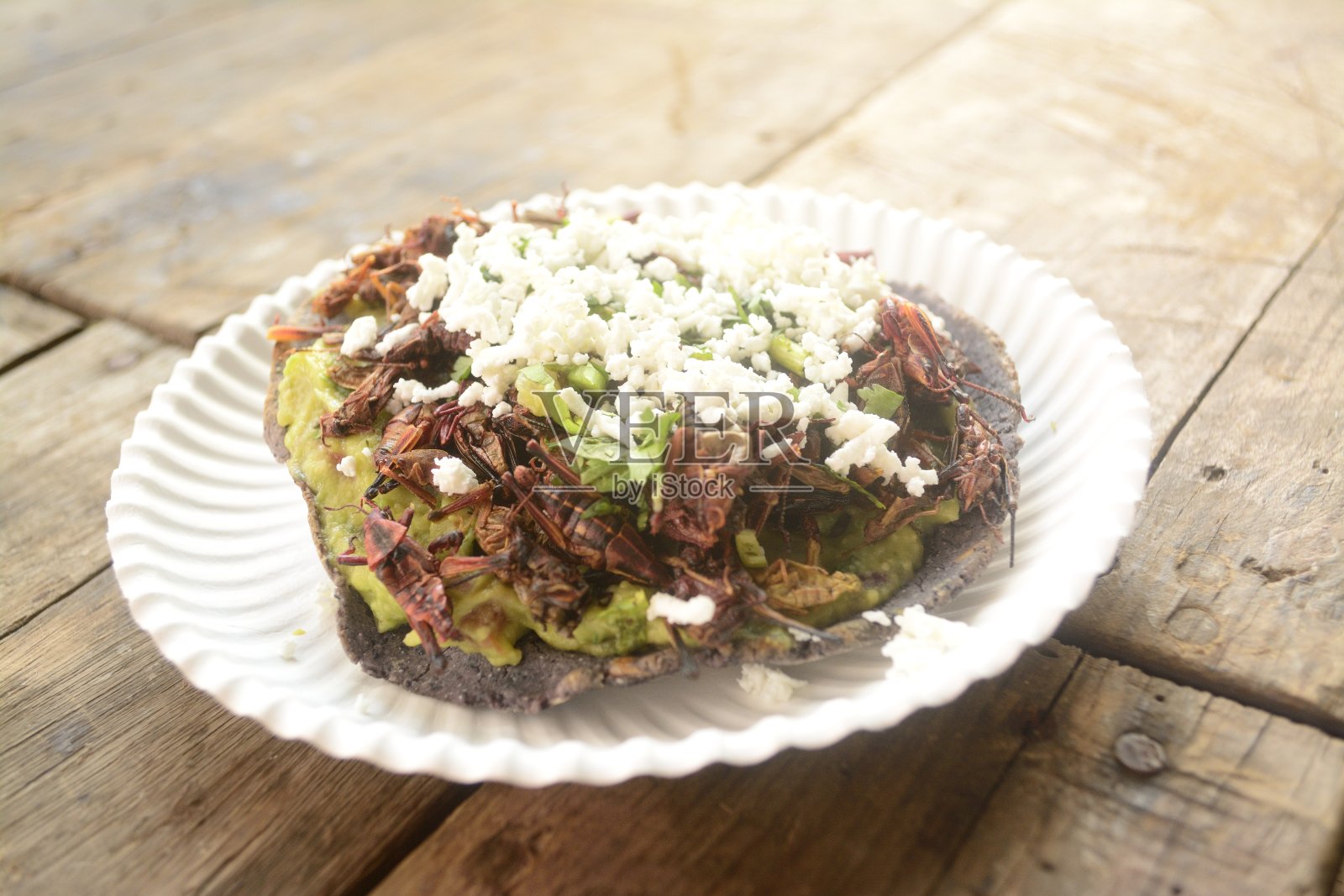 蚱蜢墨西哥玉米卷，可食用的昆虫玉米饼烤面包，以蓝玉米和鳄梨酱，奶酪和香菜从墨西哥市场照片摄影图片