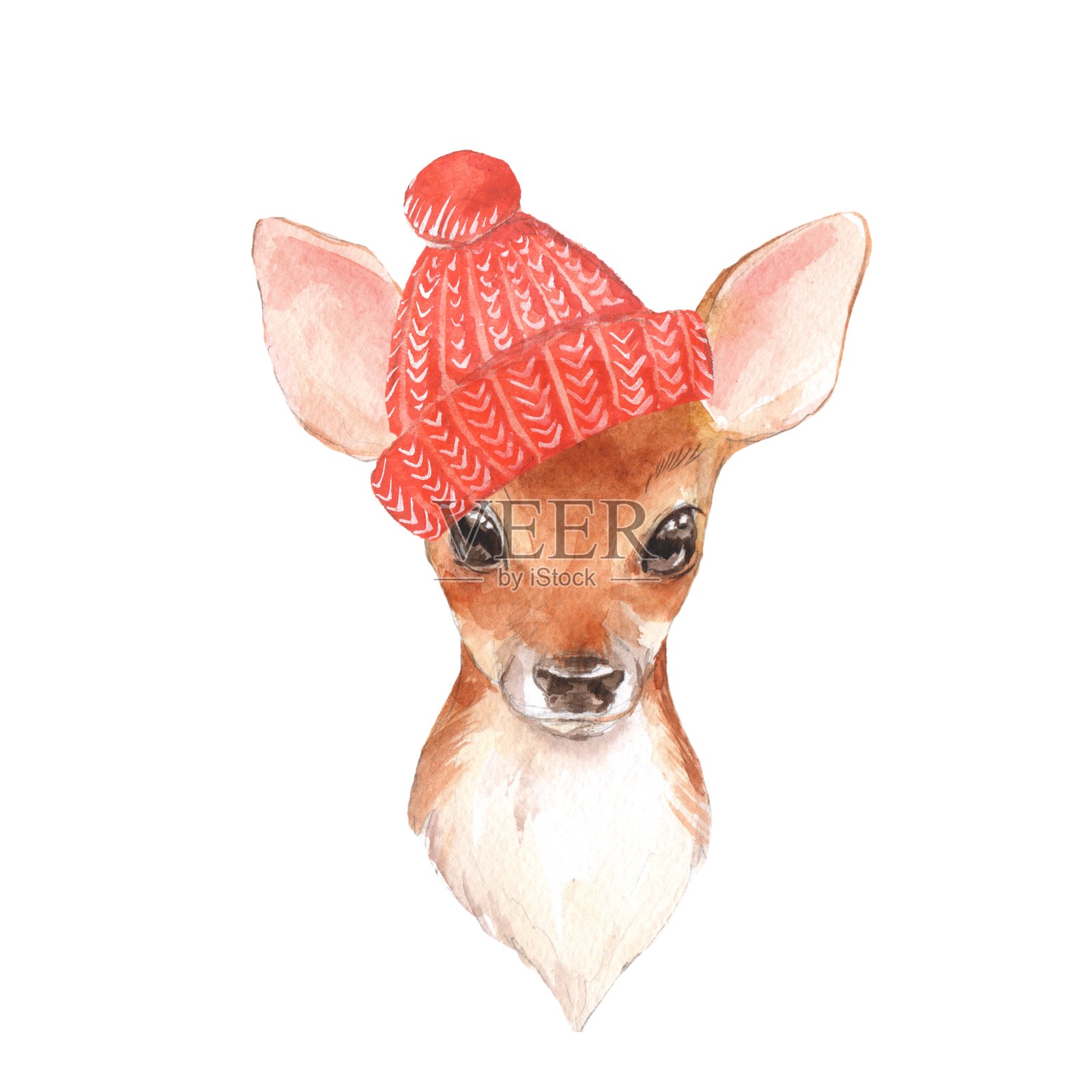戴着红帽子的小鹿。手绘可爱的小鹿插画图片素材
