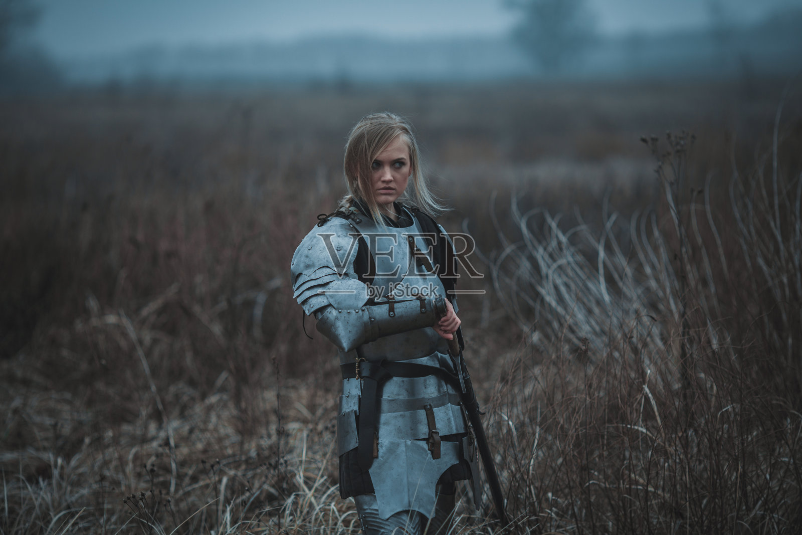 雅娜·达尔克形象中的女孩身穿盔甲，手握利剑，站在草地上。照片摄影图片