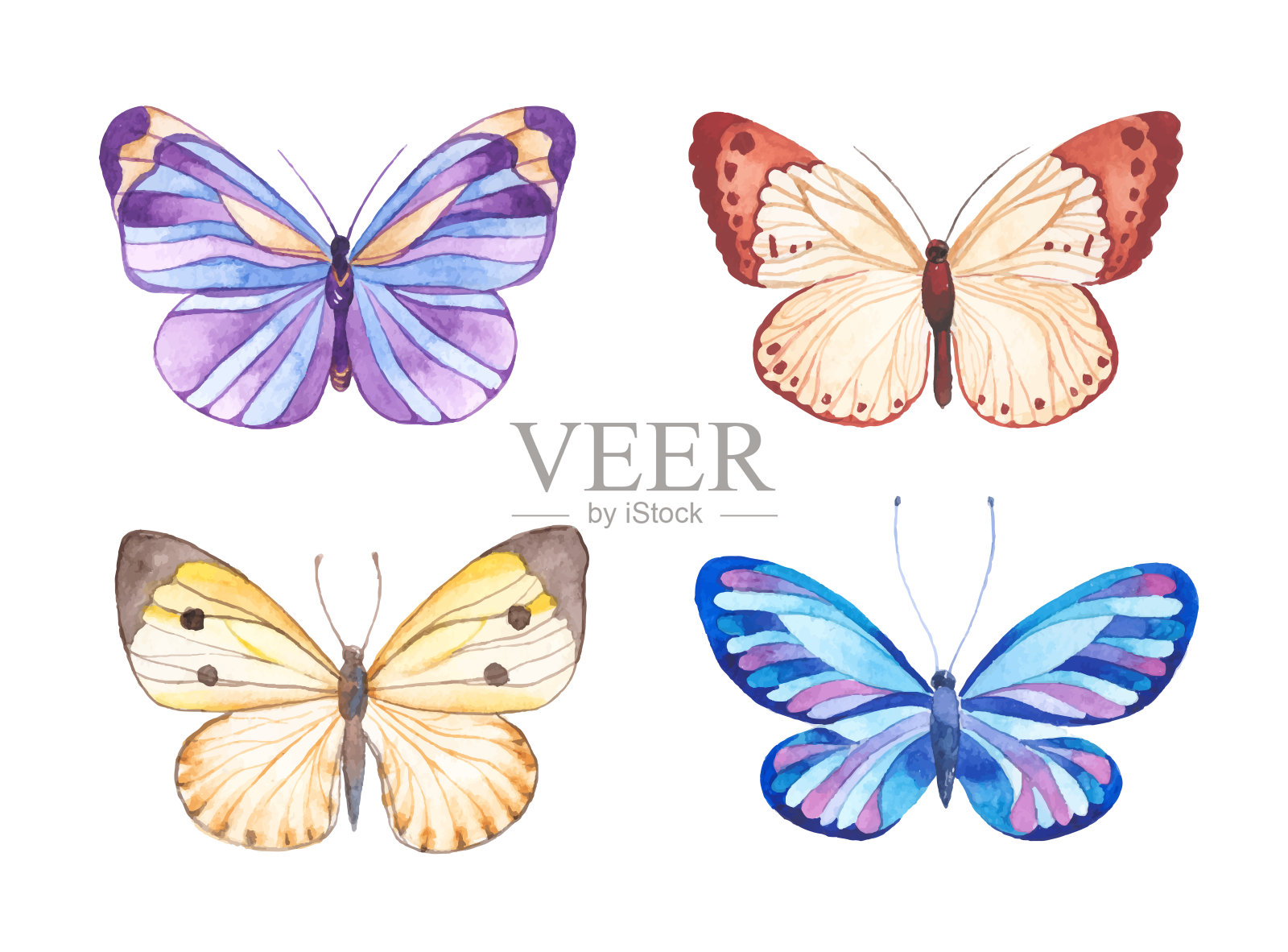 水彩蝴蝶插图设计元素图片