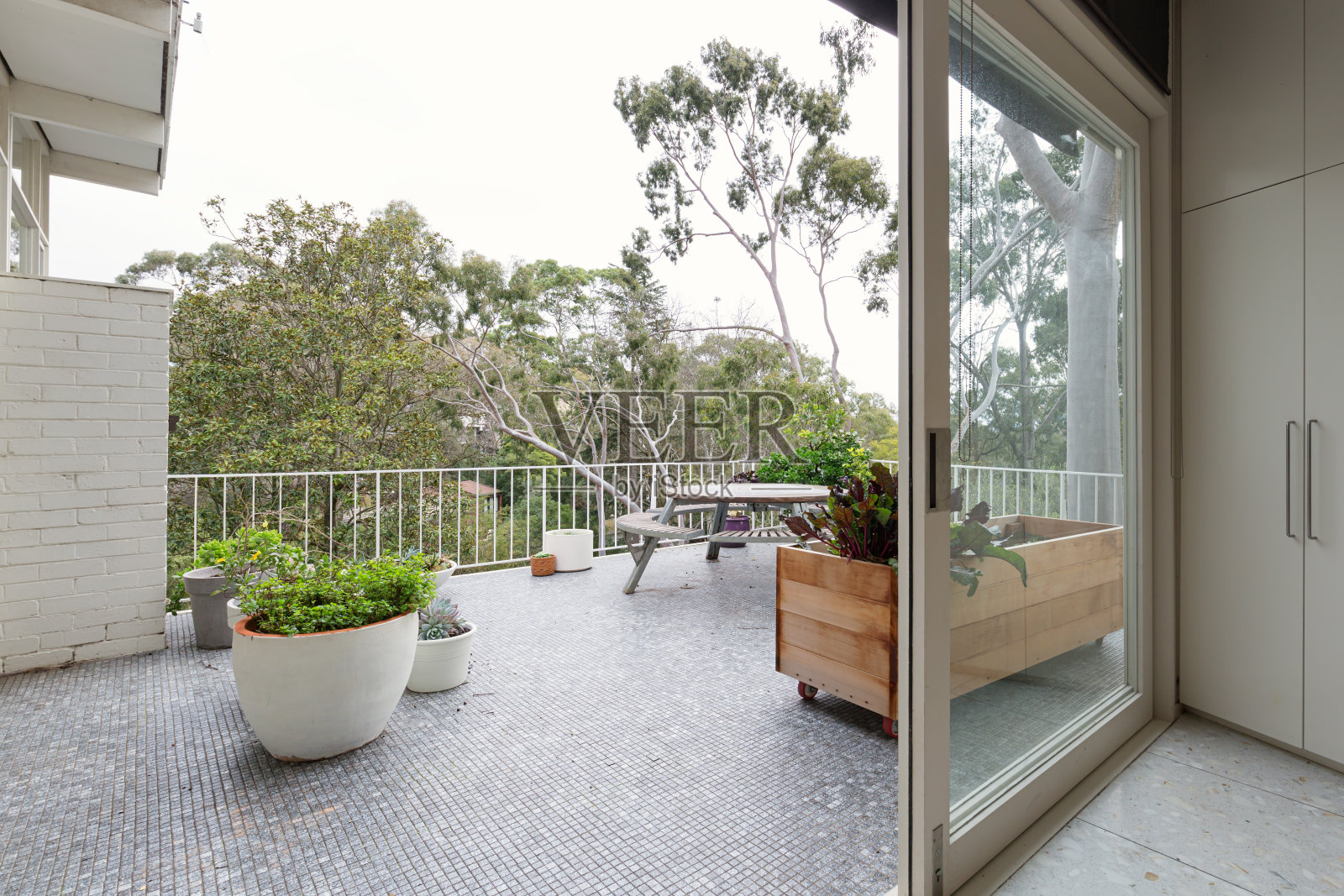 从澳大利亚豪华住宅的大型马赛克瓷砖露台上看树梢照片摄影图片