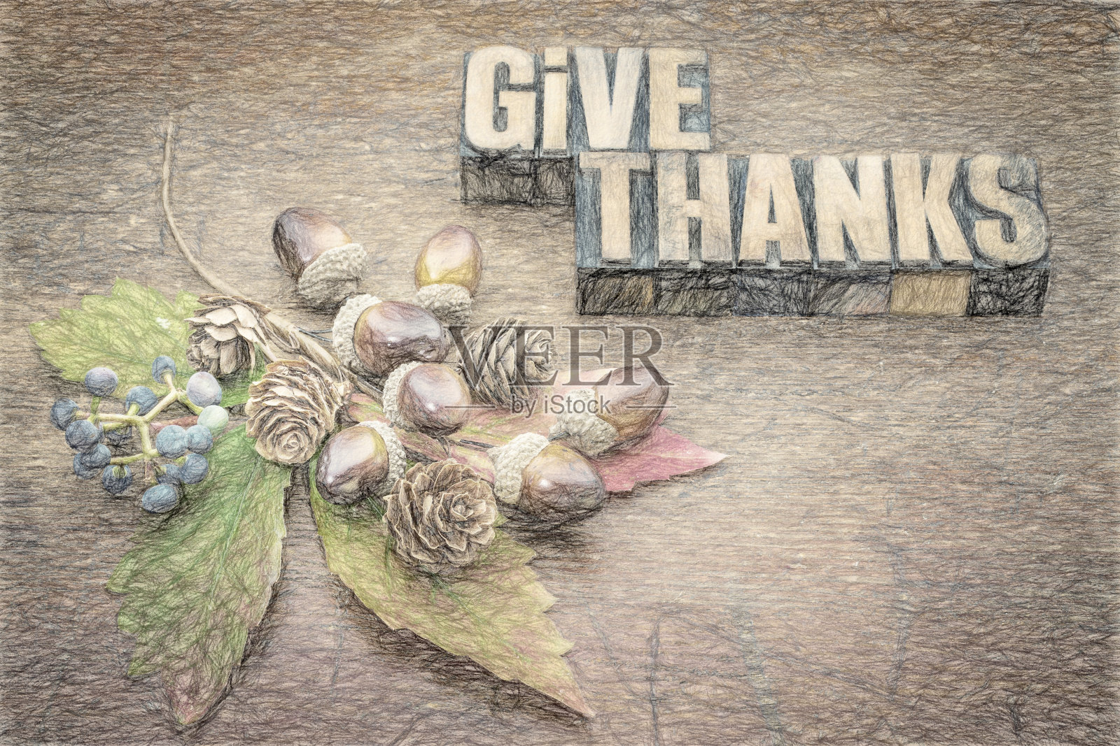 感恩——感恩的概念照片摄影图片