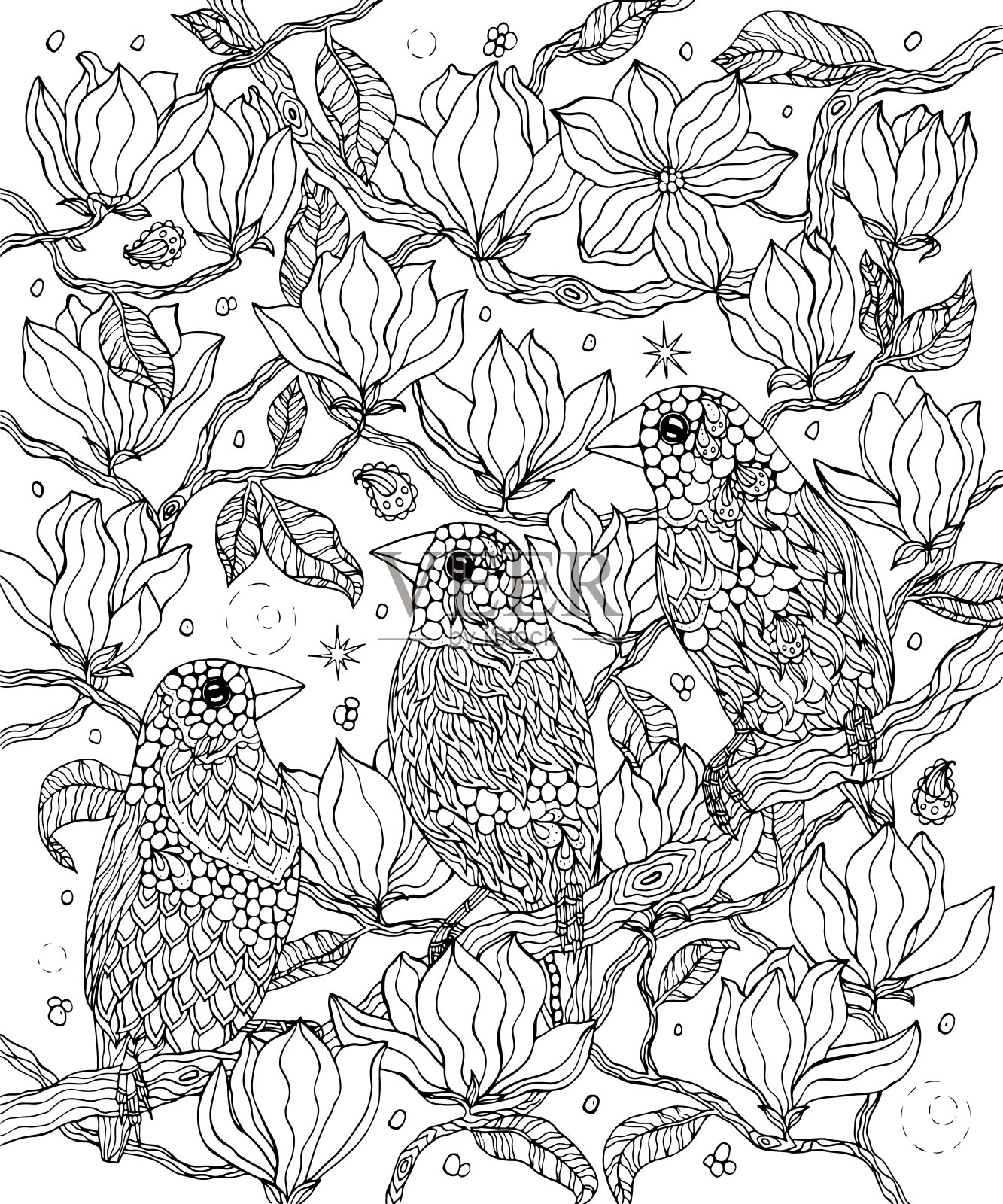 鸟和花的涂色页。Gouldian雀插画图片素材