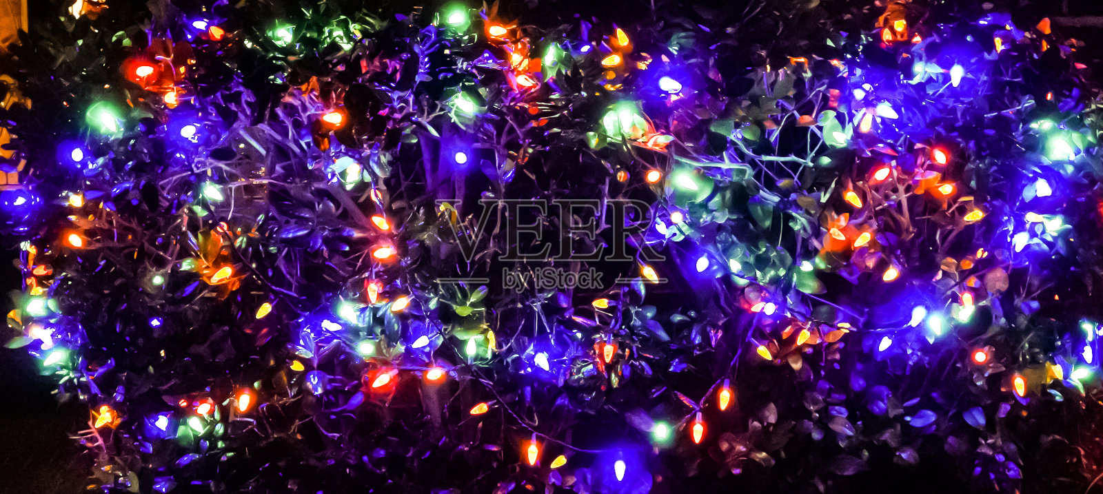 一串串紫色、红色和绿色的圣诞彩灯照片摄影图片
