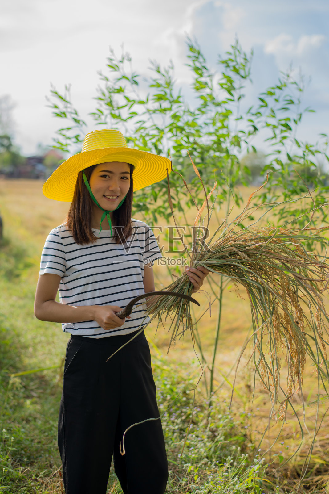亚洲女农民的肖像照片摄影图片