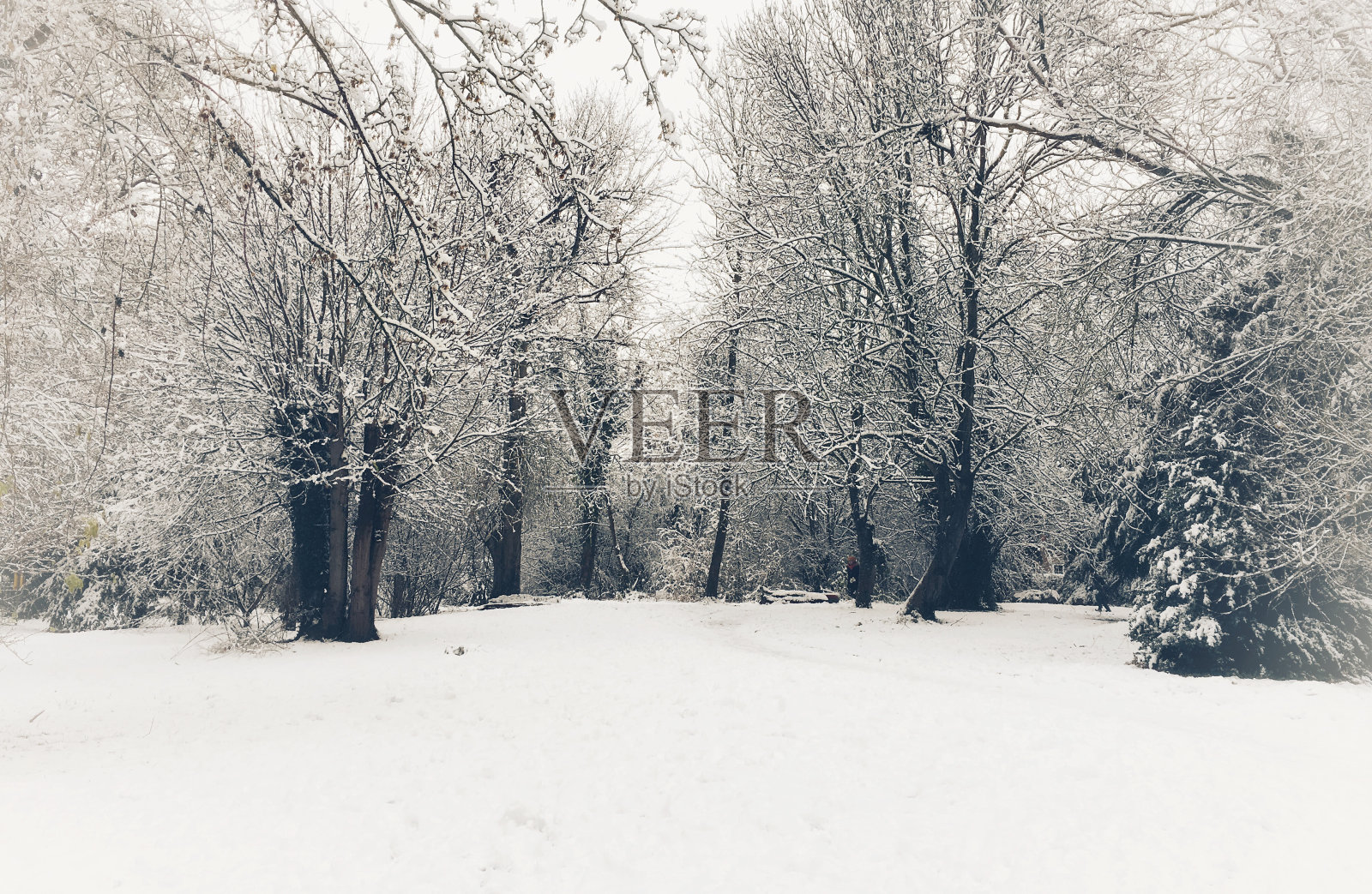 英国牛津郡旺蒂奇的贝杰曼千年公园冬季美景照片摄影图片