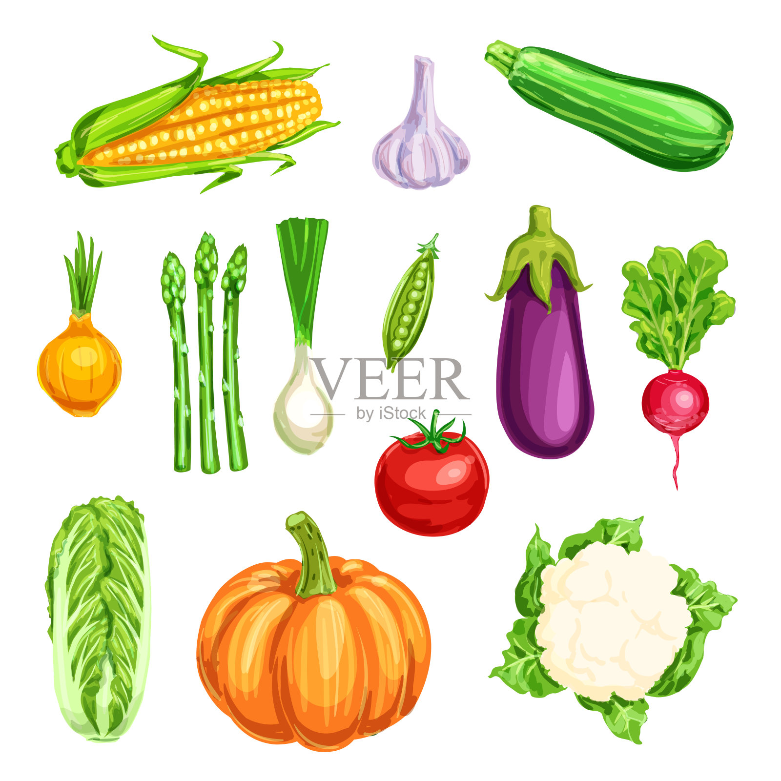 蔬菜水彩图标的有机农场蔬菜设计元素图片
