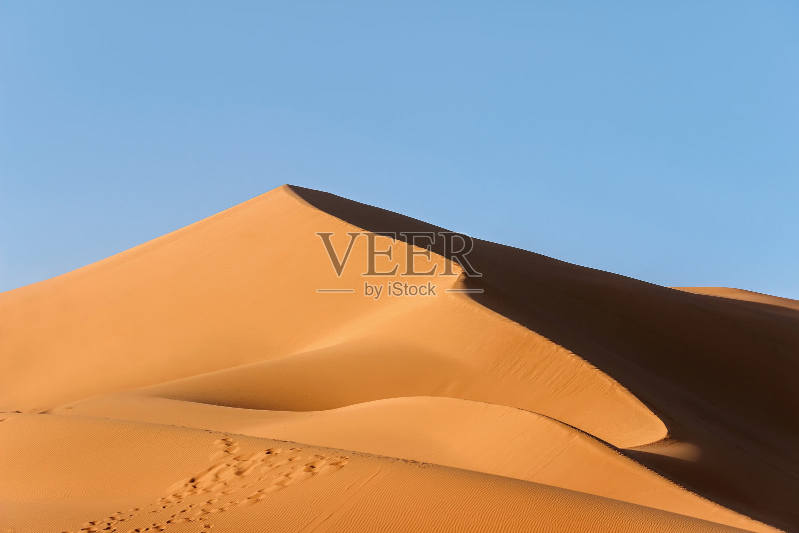 撒哈拉沙漠的金色沙丘照片摄影图片