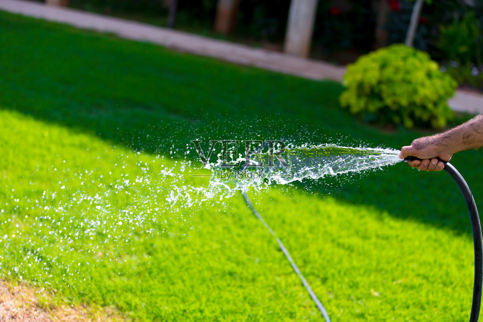 花园灌溉照片摄影图片