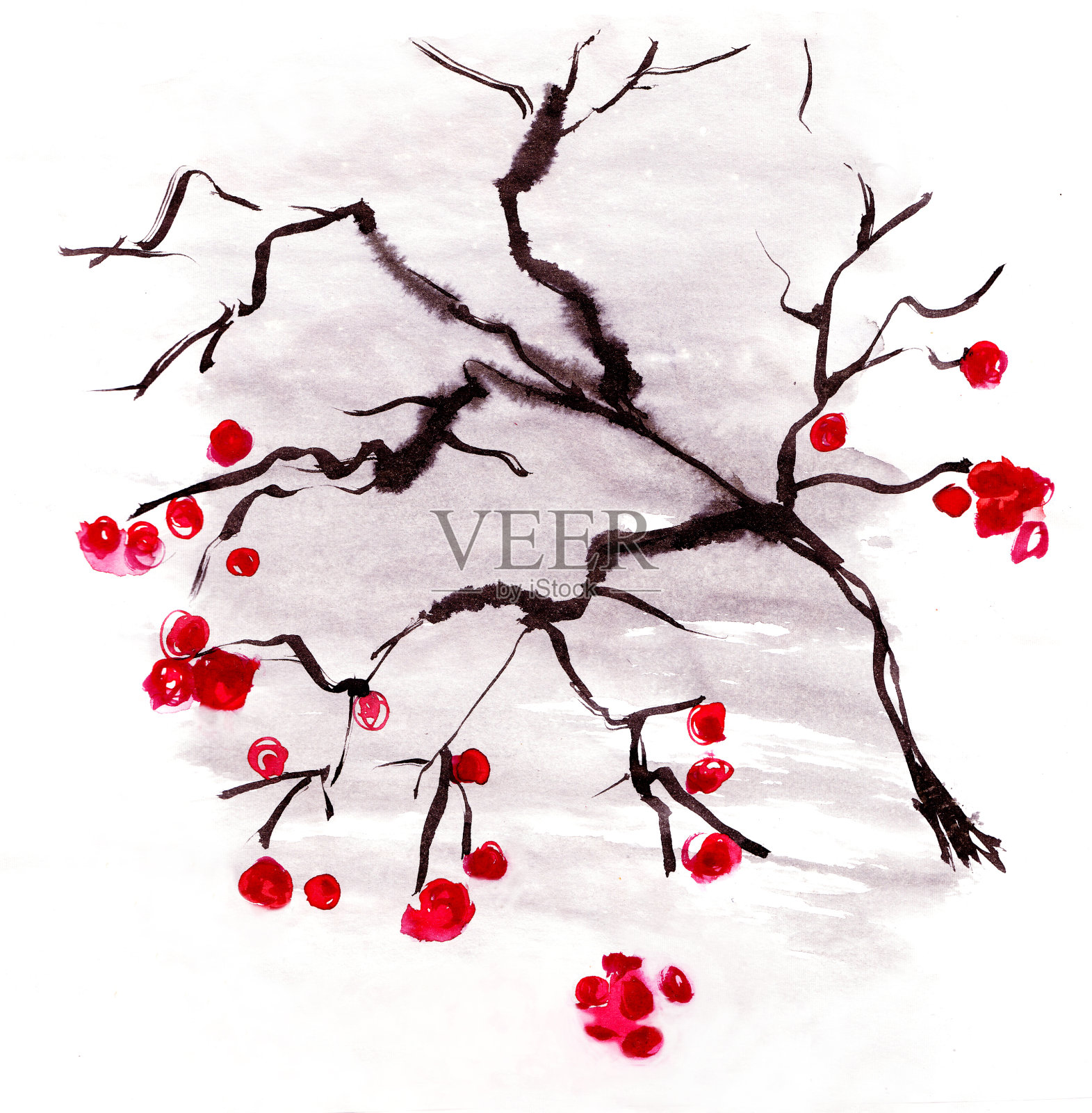 红色浆果，冬天，水彩素描插图插画图片素材